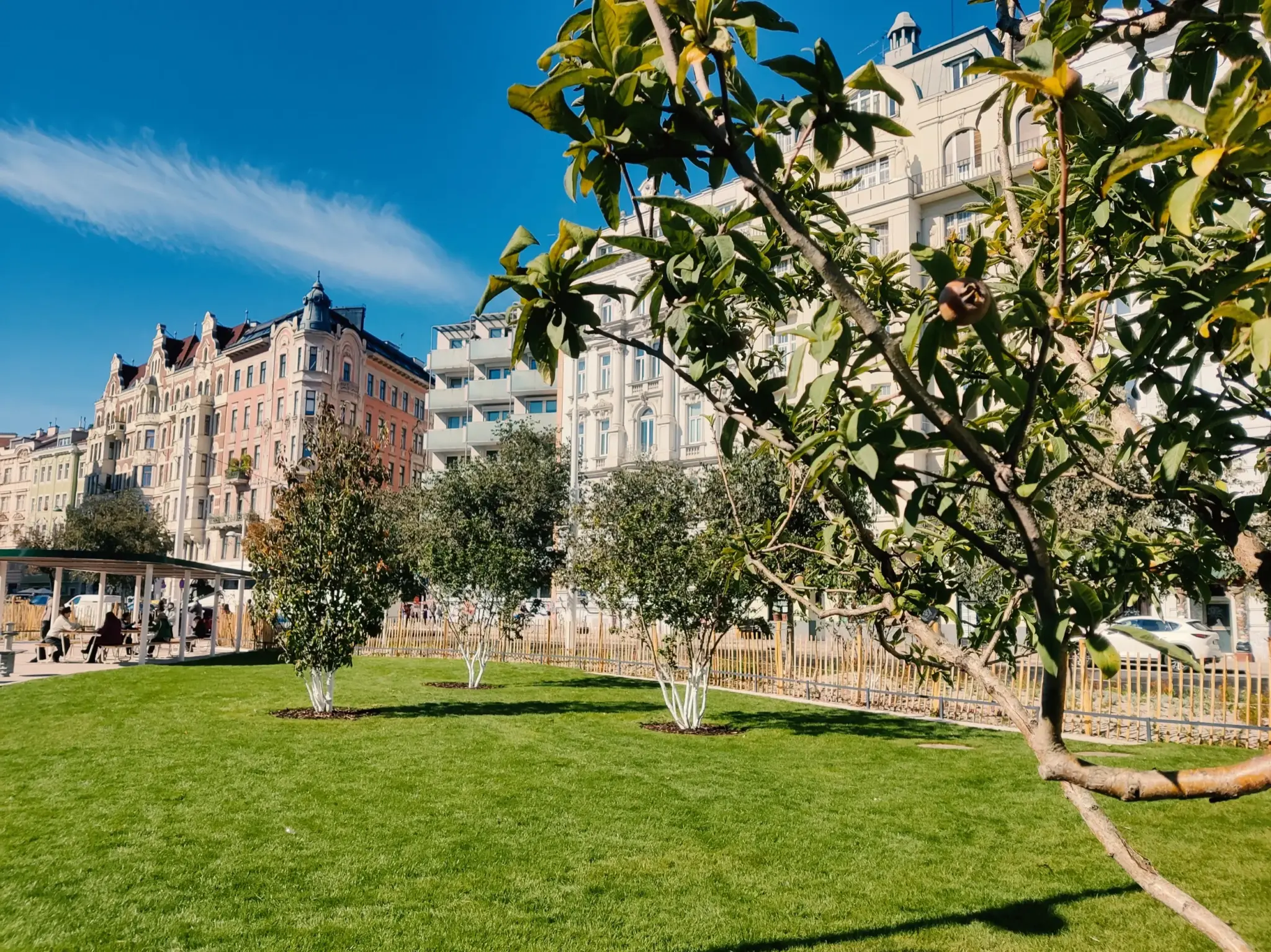 Naschpark Martin Czwiertnia 04